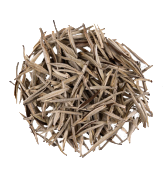 Yin Zhen Silverneedle